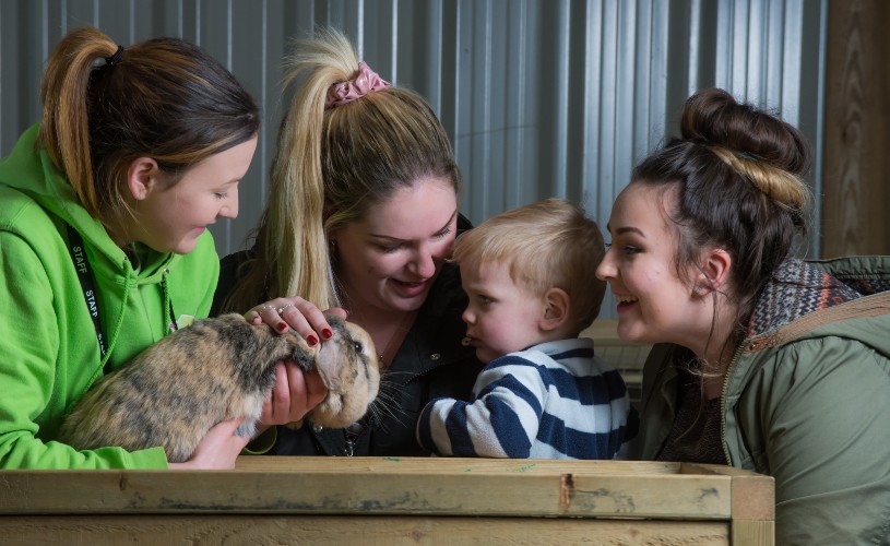 People petting animal in the barn at Avon Valley Adventure Park